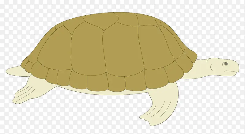 ʸ����ɫ�����ز�-������