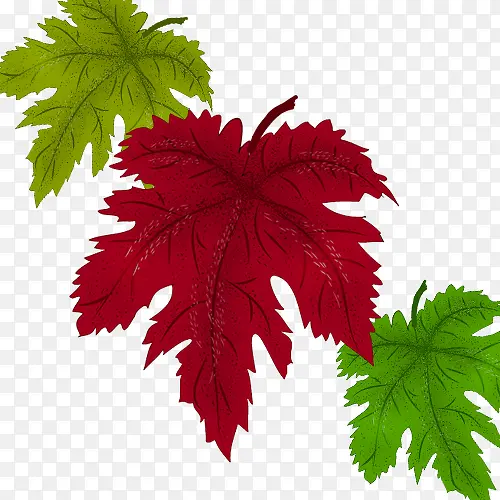 �ֻ�����Ҷ��-������