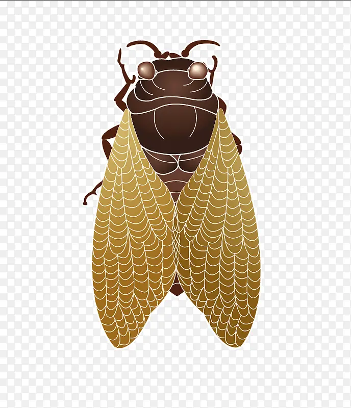 �Ƴ��֪��ʸ���ز�-������