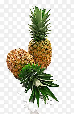 ���Ų���-������