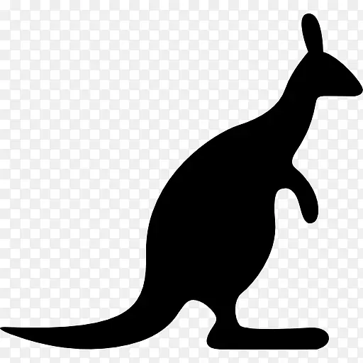 ����Ѱ����ȷ��ͼ��-������