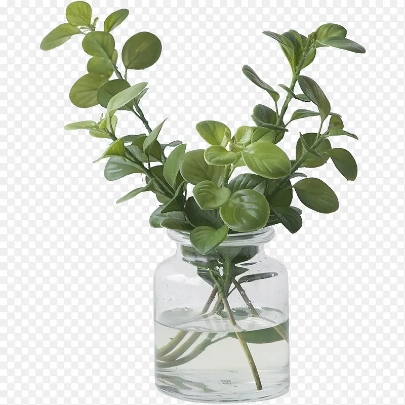 ���������ֲ-������