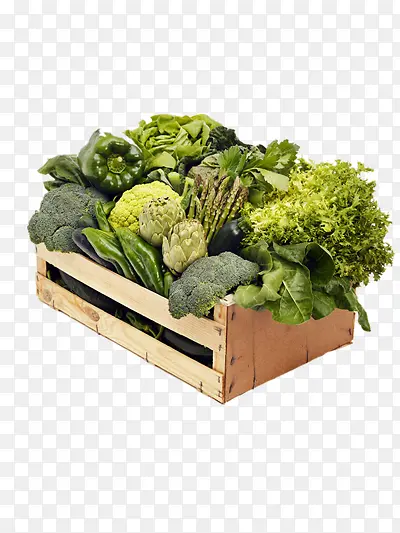 �߲˺ϼ�-������