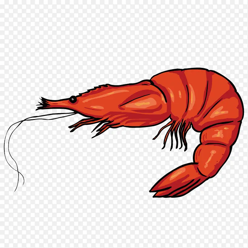 ��ͨС��Ϻ-������