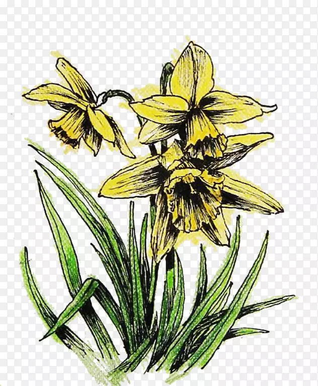 ������������ͼ��.ˮ�ɻ�-������