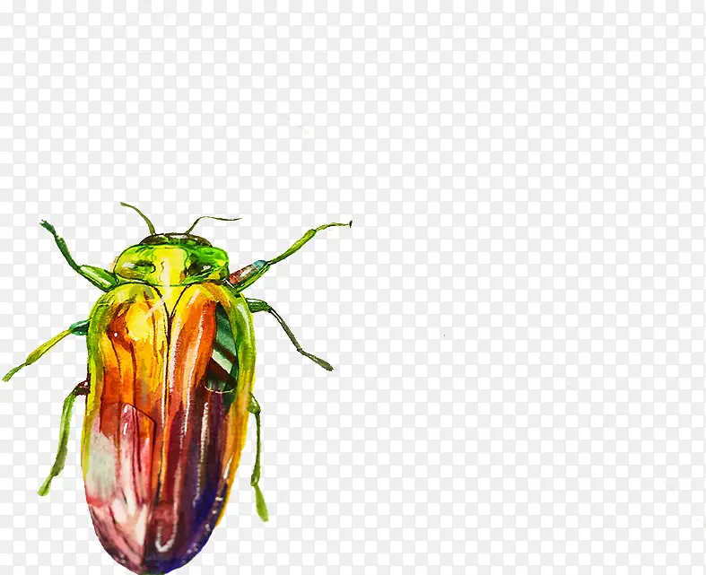 ��ɫ�Ķ�����-������