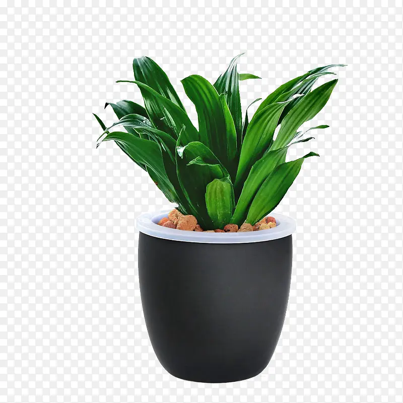 �����������ز�-������