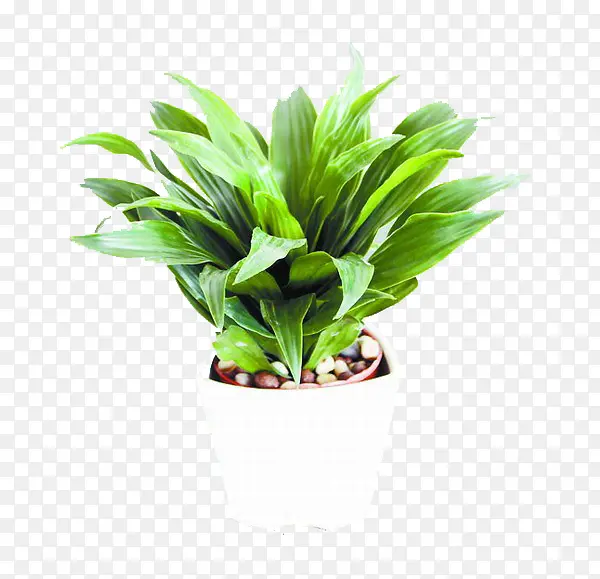 �����������ز�-������