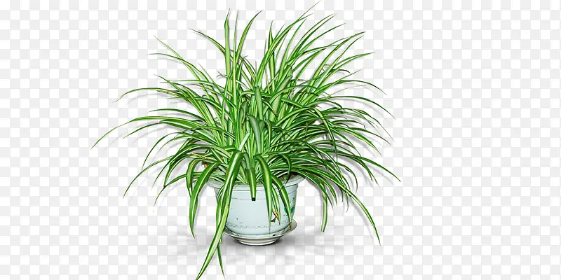 ����-������