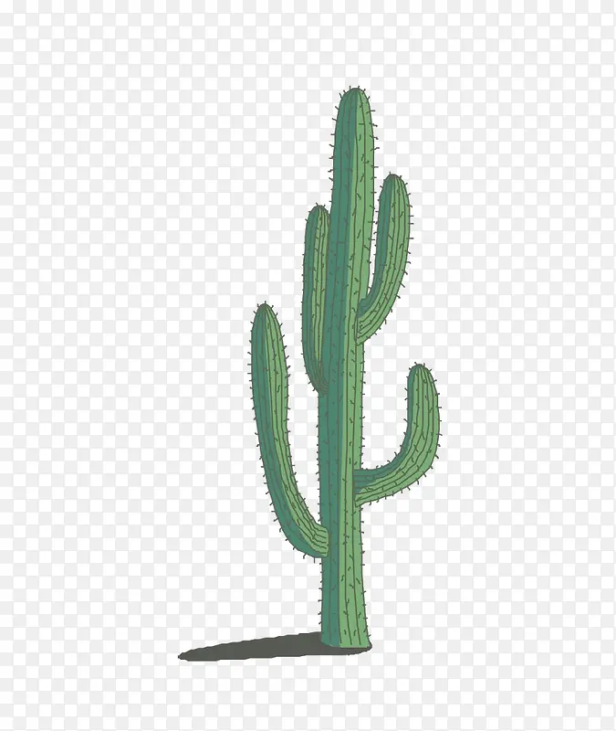 ������-������