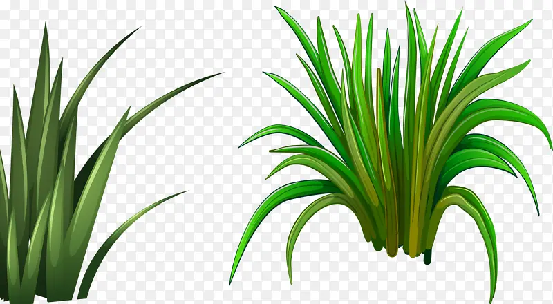 һ����Ҷ��-������