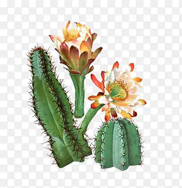 �ֻ濪����������-������