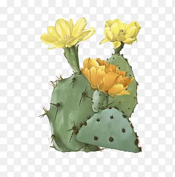 �ֻ濪����������-������