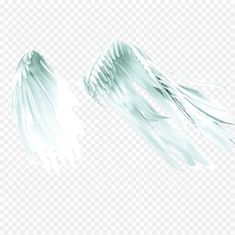 ����ĳ��-������