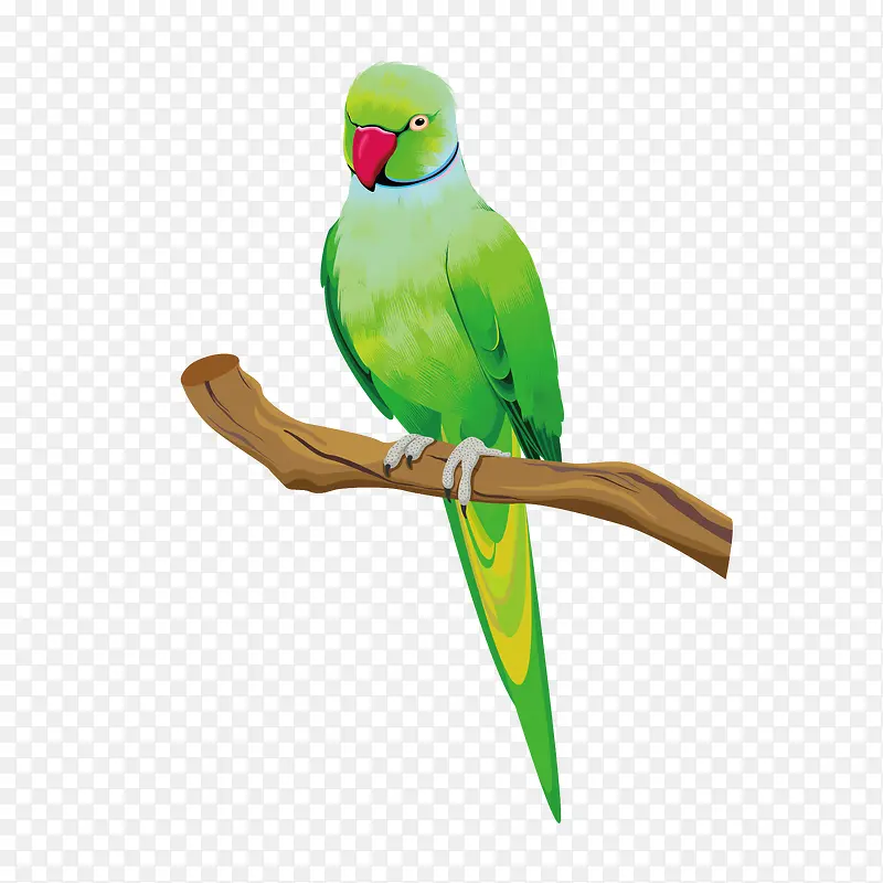 ��ɫ����-������