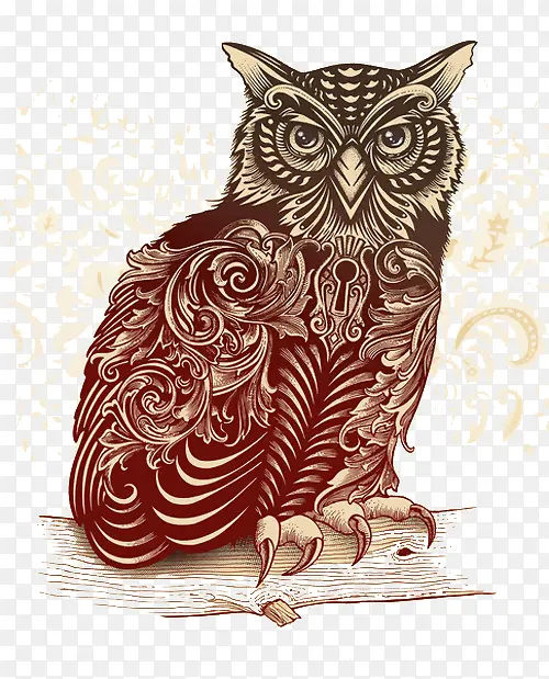 վ����֦�ϵĻ���èͷӥ�ز�-������