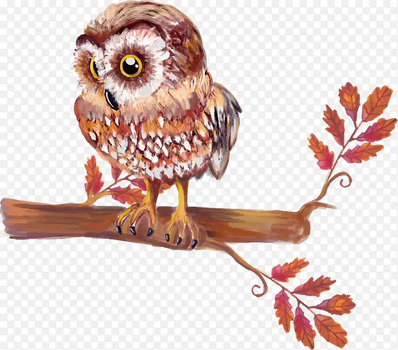 ʸ���ֻ�վ����֦�ϵ�èͷӥ-������