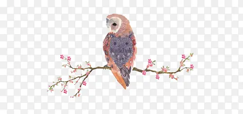 ��վ����֦��-������