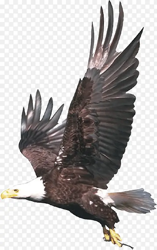 �ȶ��ĳ��-������