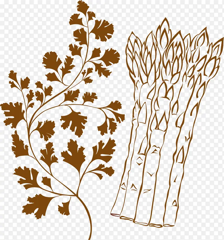 �߲�-������