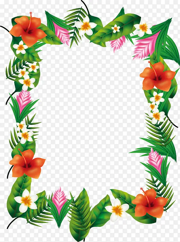 ������ɫֲ��߿�-������