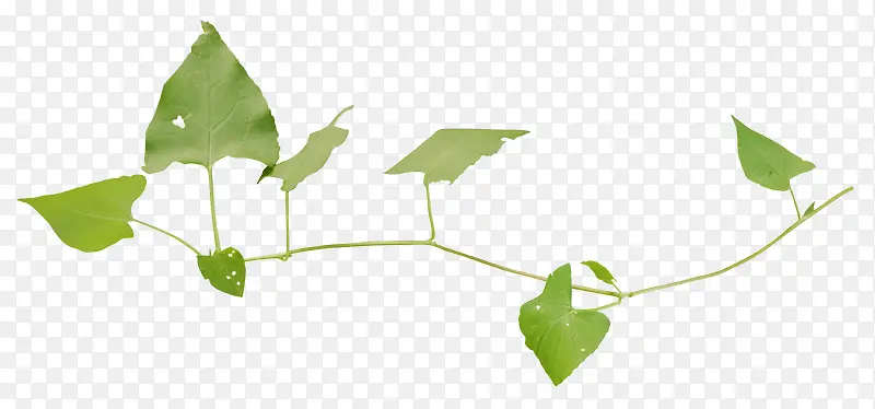 �ݱ�-������