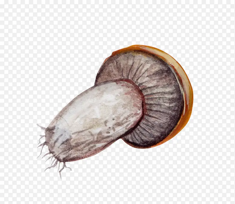 �ᵹ��Ģ��-������