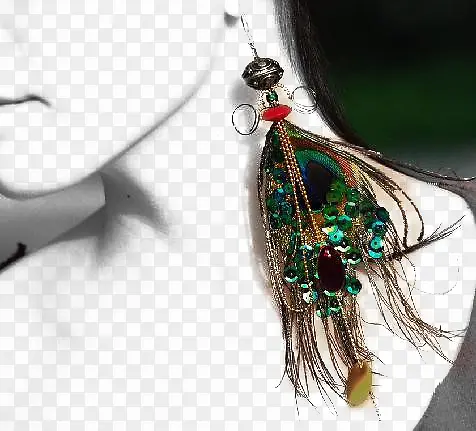 ��ȸ����-������