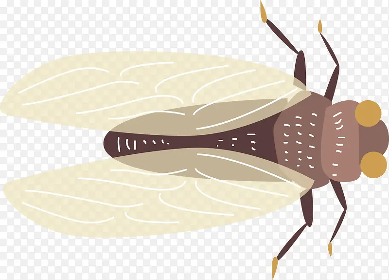 ����ʸ����ͨ�����-������