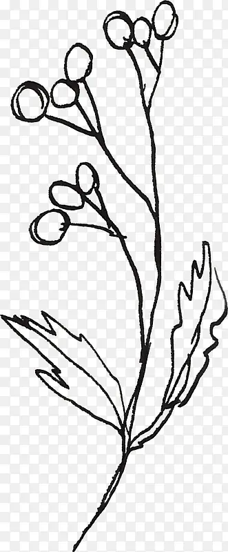 ������֦-������