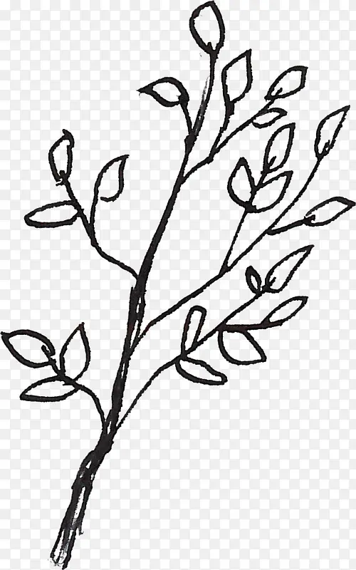 ������֦-������