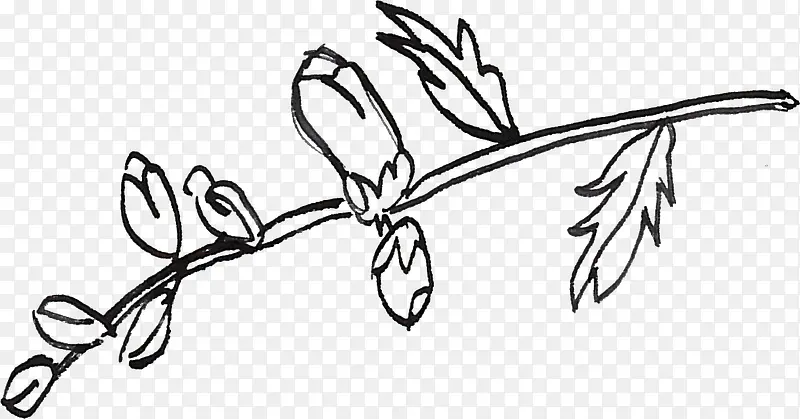 ������֦-������