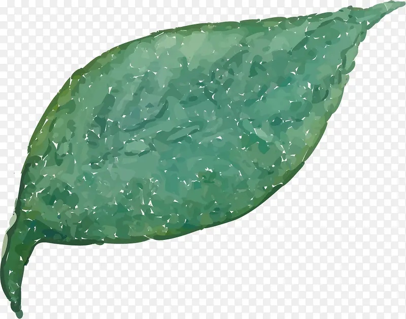 ˮ�ʻ���ֲ��-������