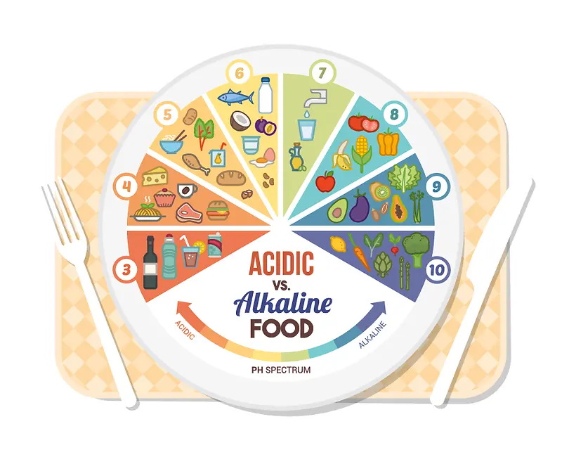 ��ƽ��ʳ����ʸ���ز�-������