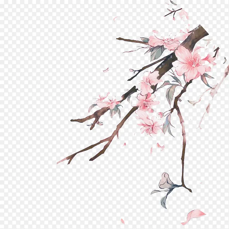 Ψ��ˮī����֦-������