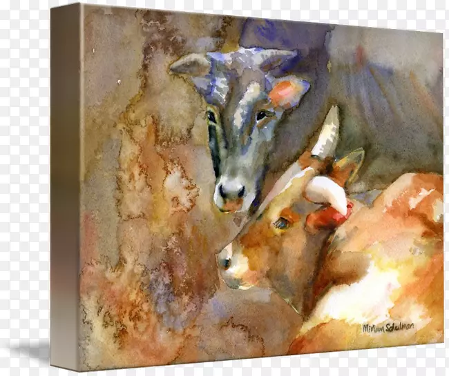 �ÿ���˹�ݳ���ˮ�ʻ�����ˮ�ʻ�����-������