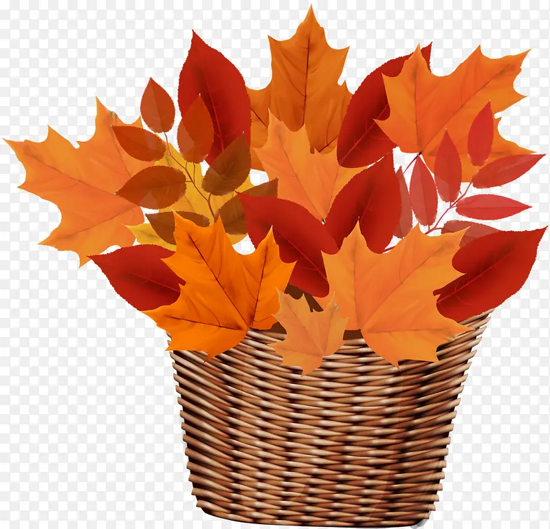 ��ɫ��Ҷ-������