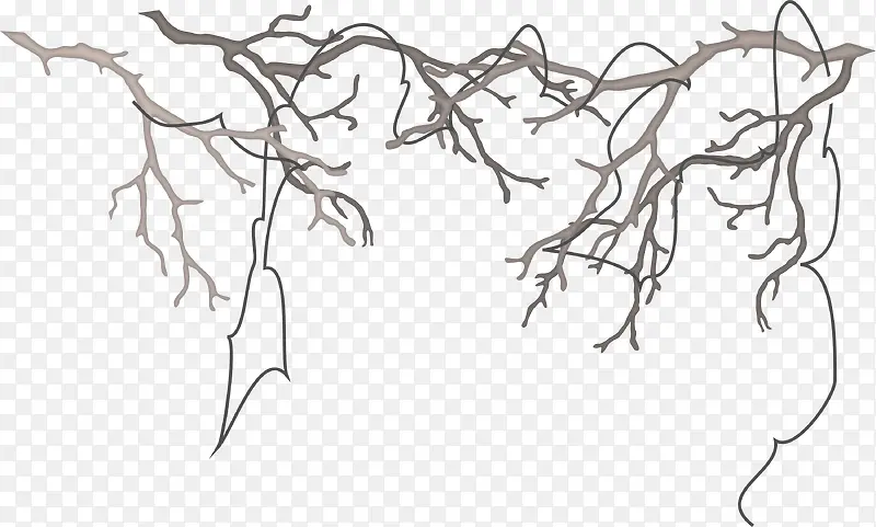 ��ɫ��Լ����֦-������