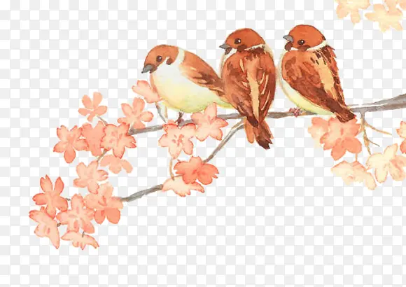 ��֦�ϵ���ȸ�ֻ�-������