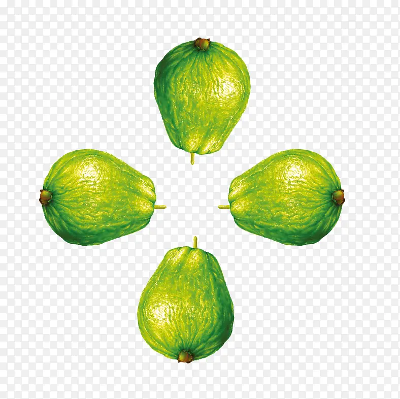 ����ʳ���ز�-������