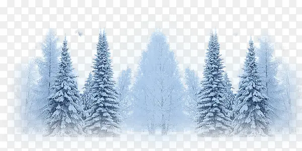 ��ɫ������-������