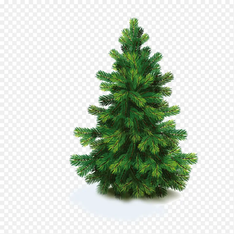 ��ľ-������