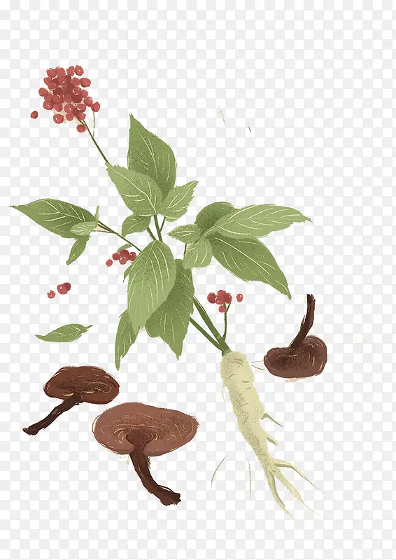 �����ֻ��˲ι���-������