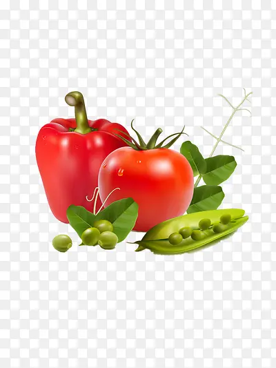 �����߲�-������