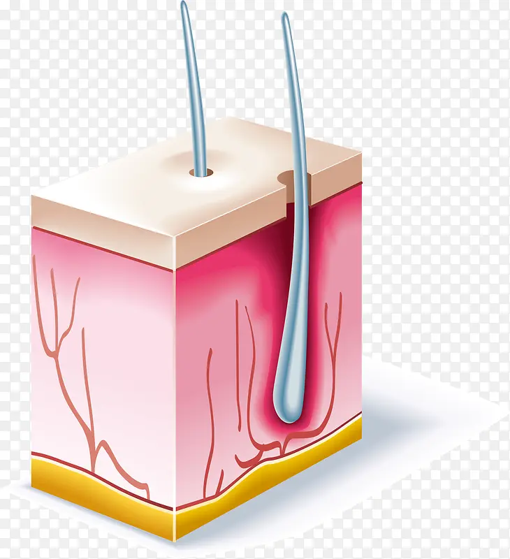 ë����֯����Ԫ��-������