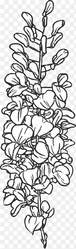 �ڰ����ʸ��޹�²�-������