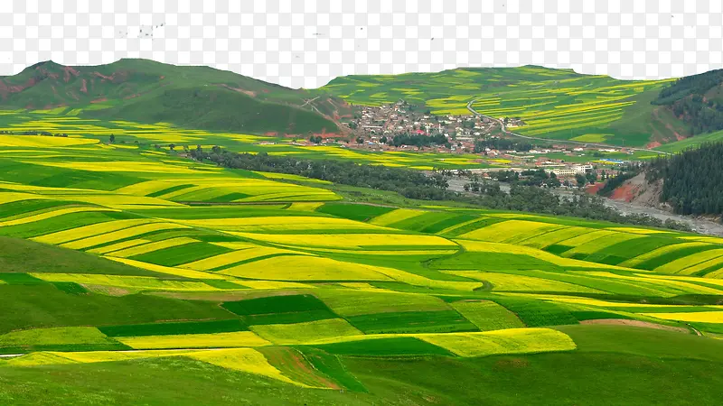 �ຣ׿��ɽ��-������