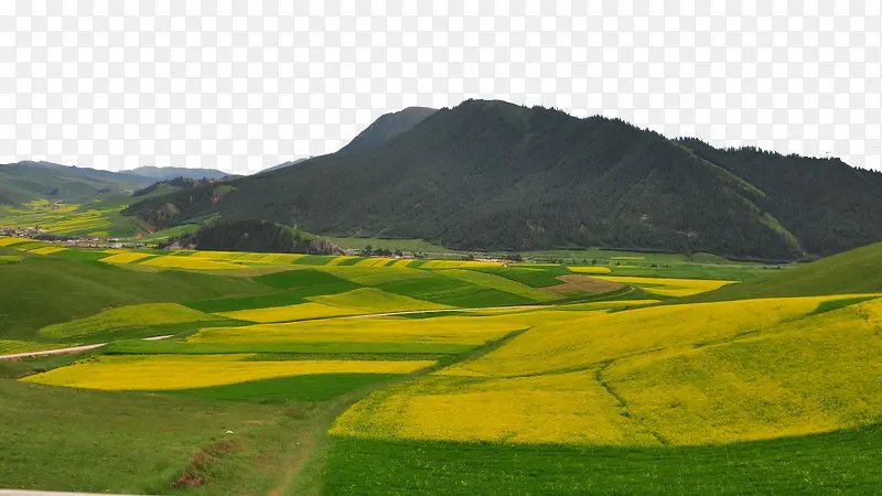 �ຣ׿��ɽʮ��-������