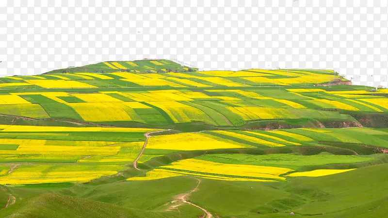 �ຣ׿��ɽʮ��-������