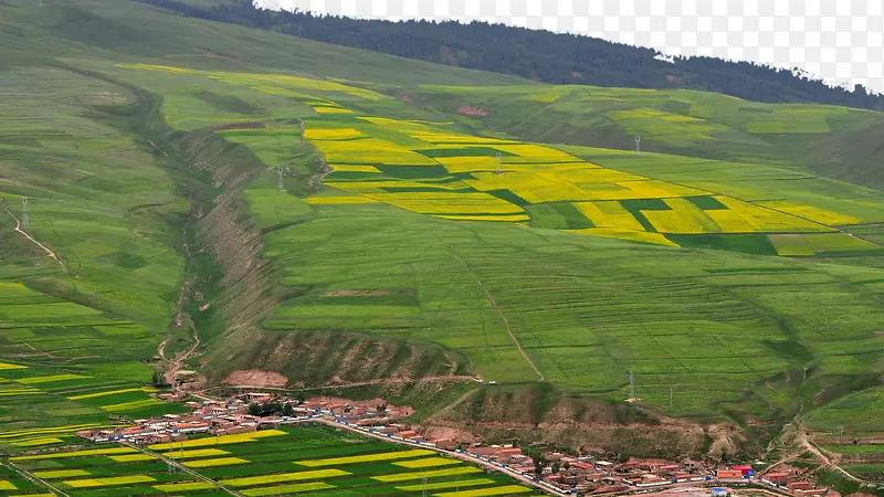 �ຣ׿��ɽ��-������